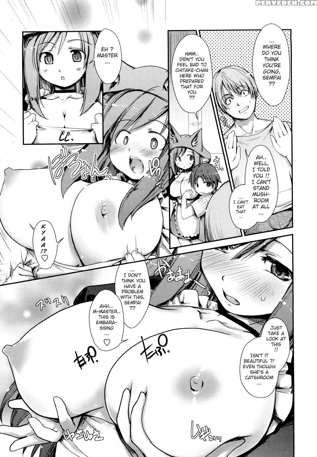 Nekokino To Ame No Machi 2