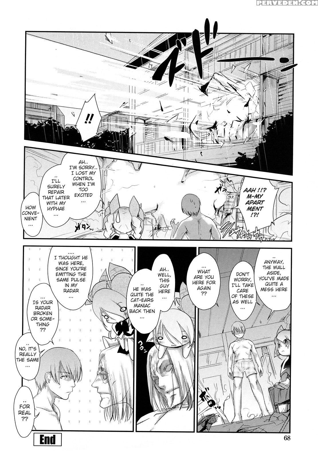 Nekokino To Ame No Machi 3