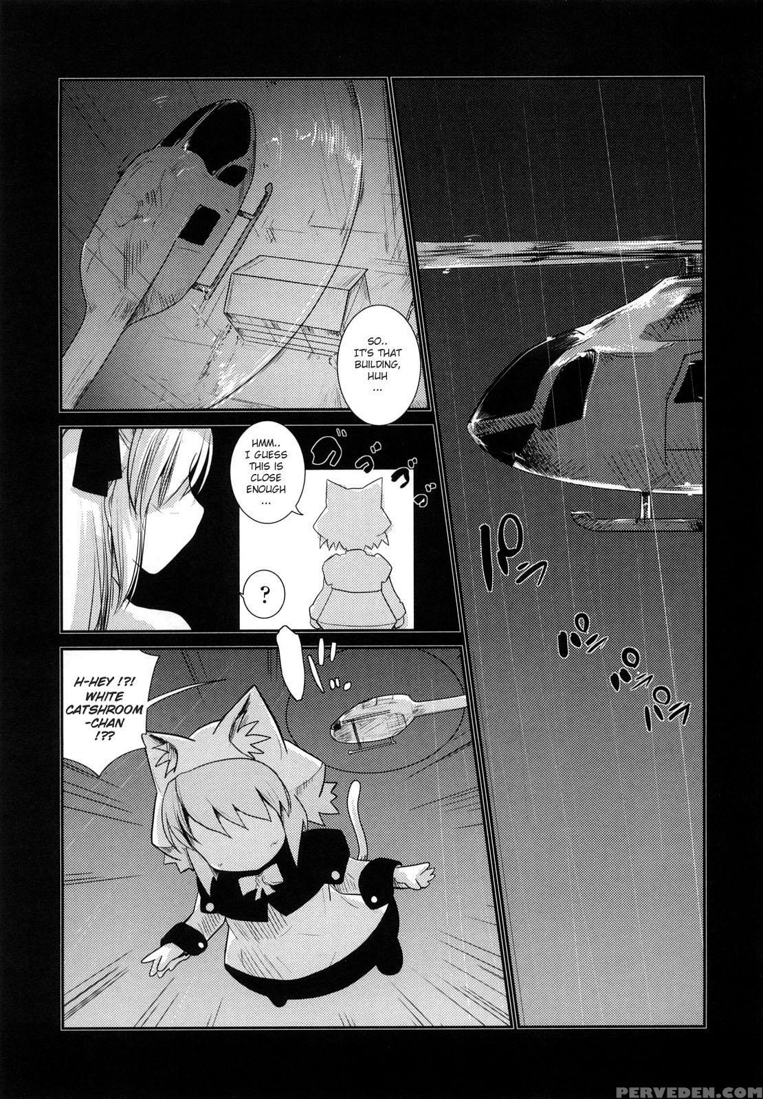 Nekokino To Ame No Machi 5