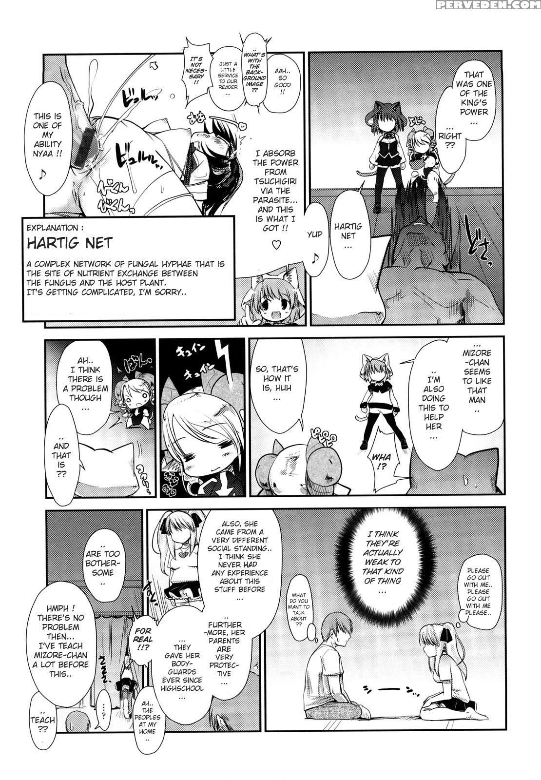 Nekokino To Ame No Machi 5