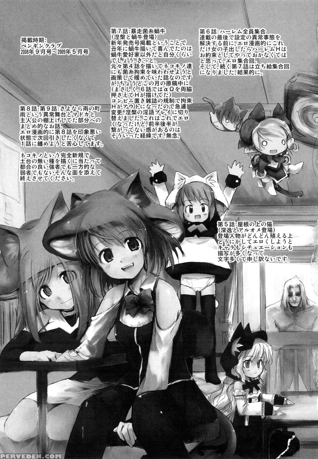 Nekokino To Ame No Machi 9