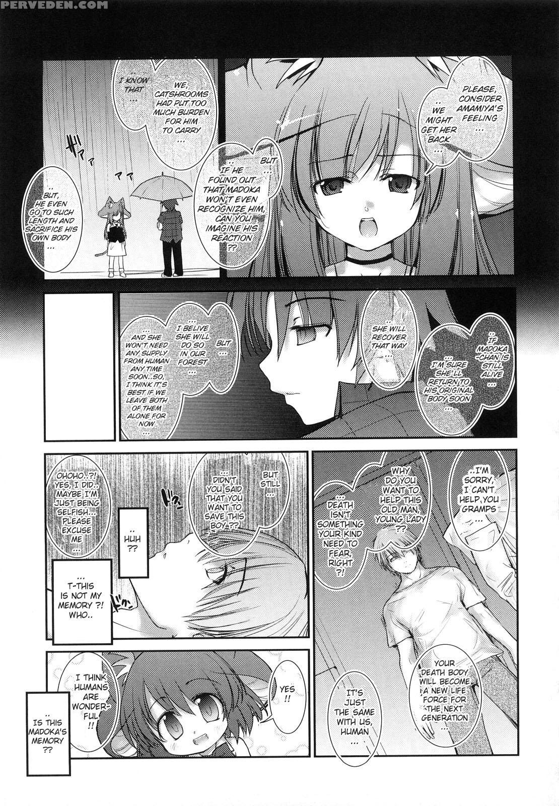 Nekokino To Ame No Machi 9
