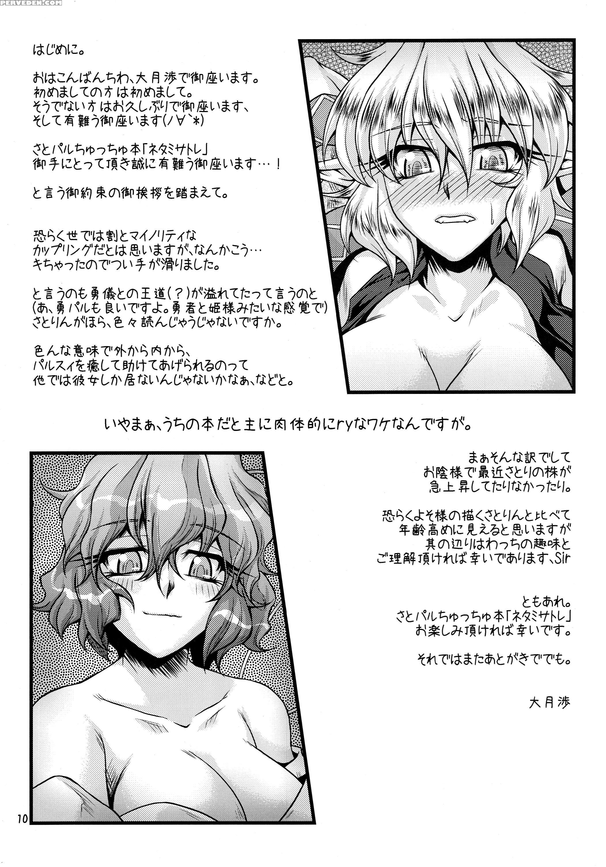 Netami Satore - Touhou 1