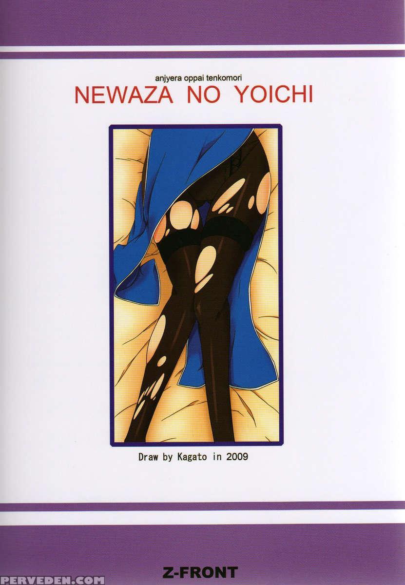 Newaza No Yoichi 1