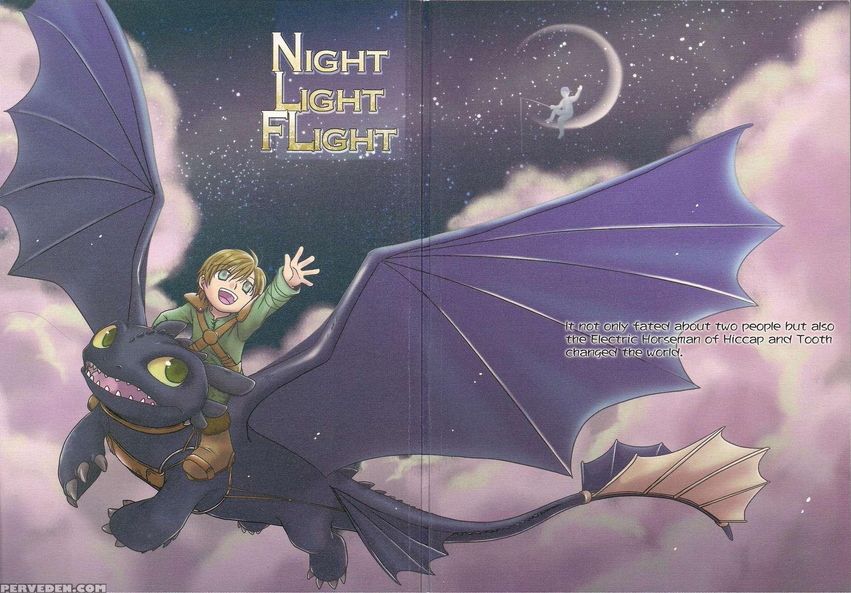 Night Light Flight 1
