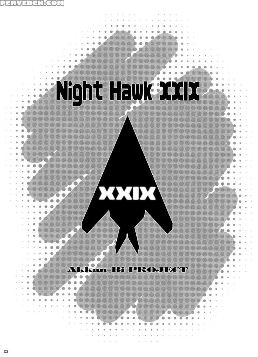 Nighthawk Xxix 1