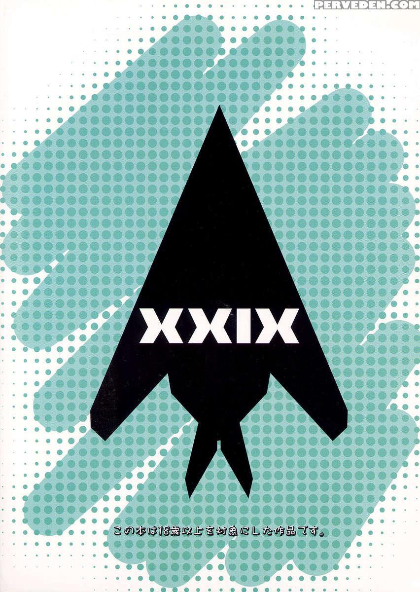 Nighthawk Xxix 1