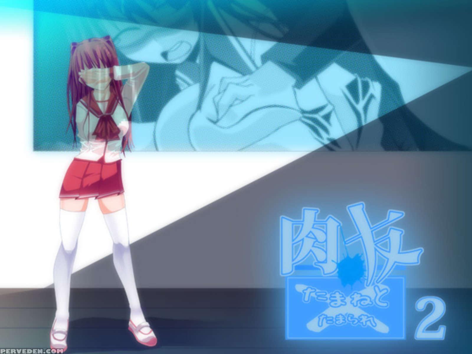 Nikutomo Tamane To Tamarare 2 1