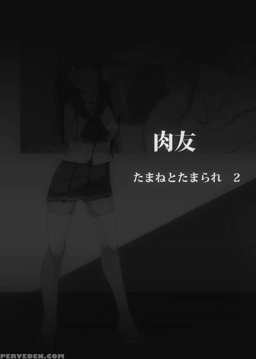 Nikutomo Tamane To Tamarare 2 1