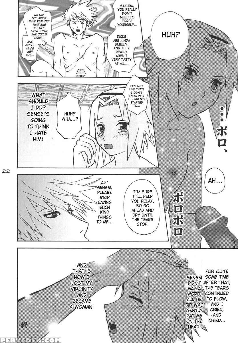 Ninja Girl's Diary 1