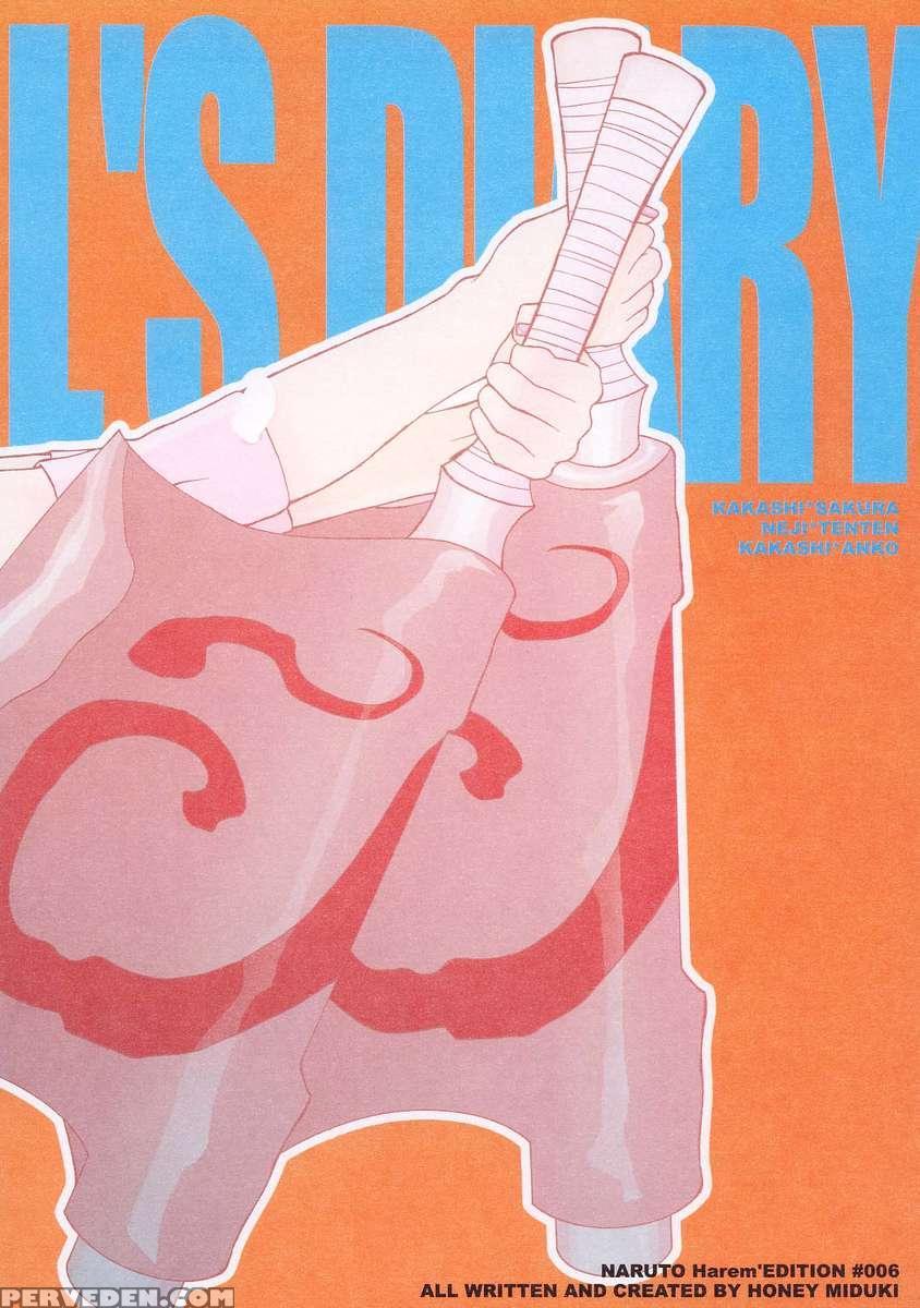 Ninja Girl's Diary 1