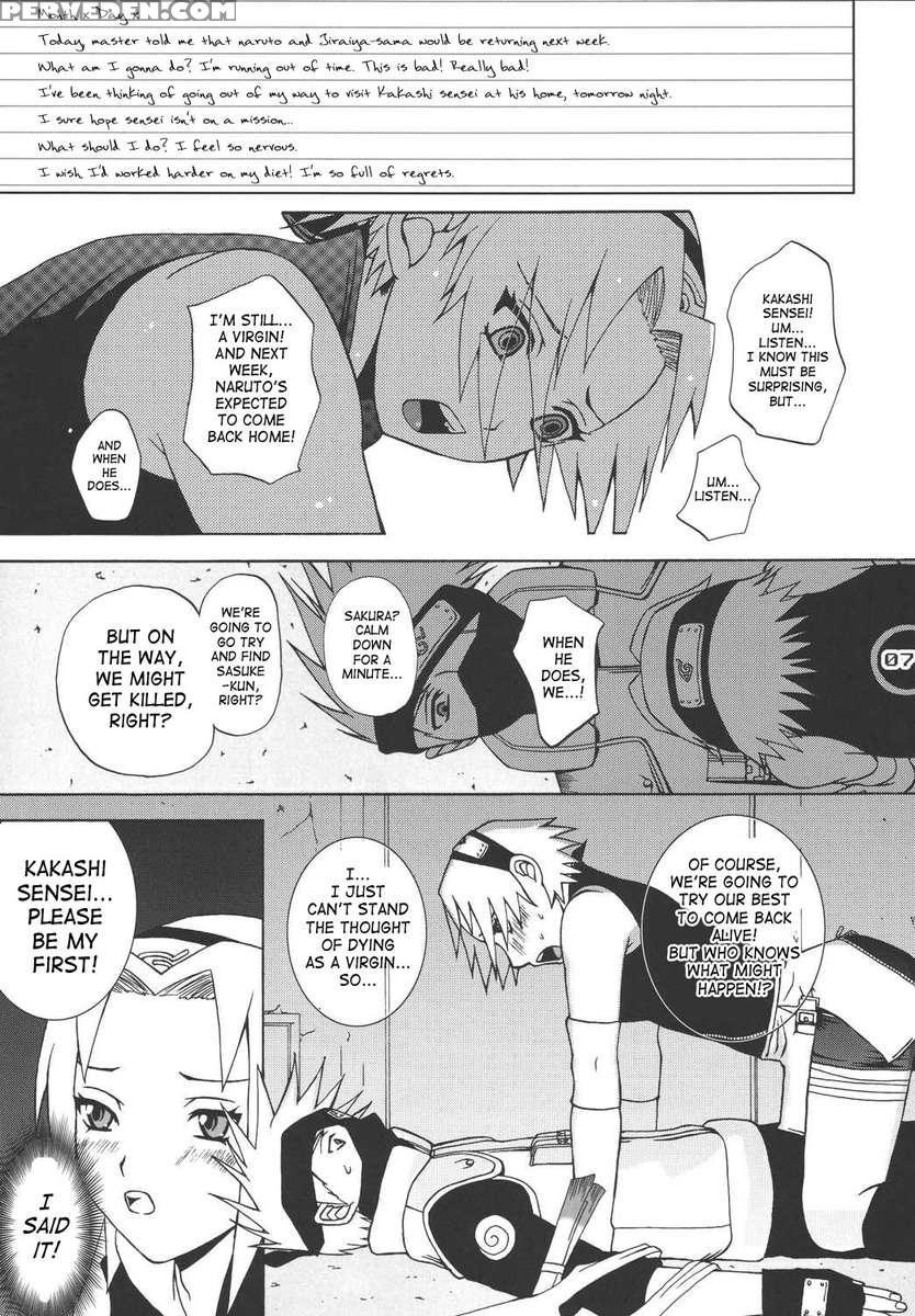 Ninja Girl's Diary 1
