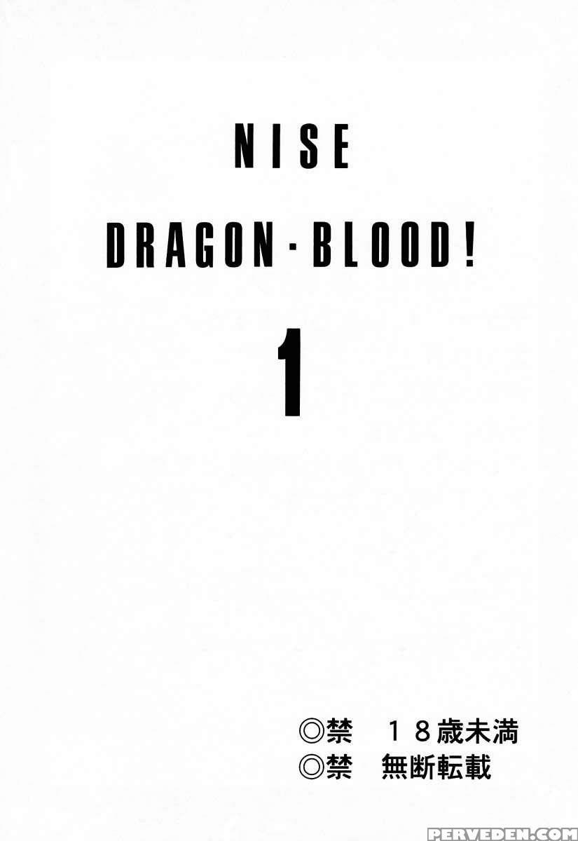 Nise Dragon Blood! 01 1