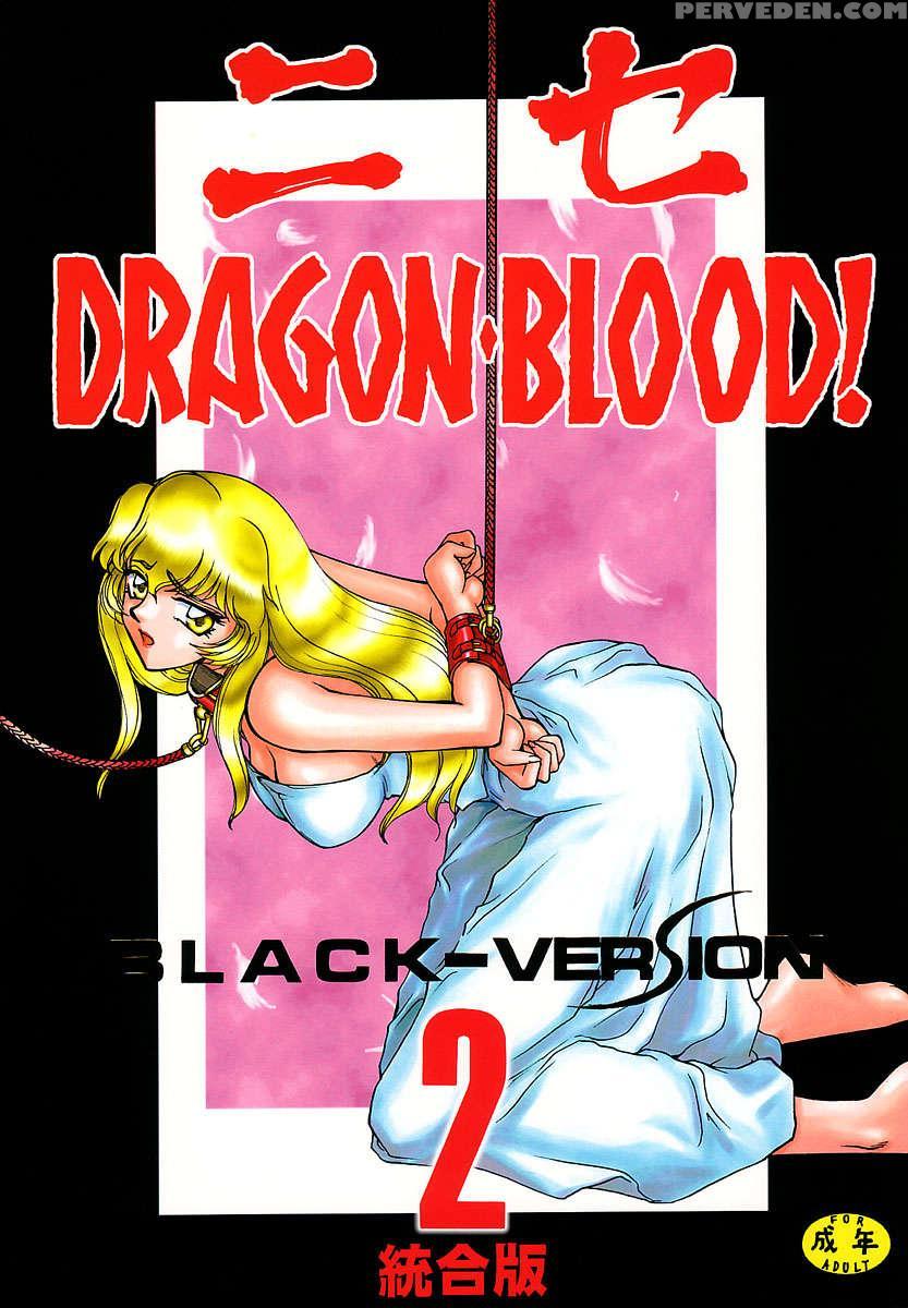 Nise Dragon Blood! 02 1