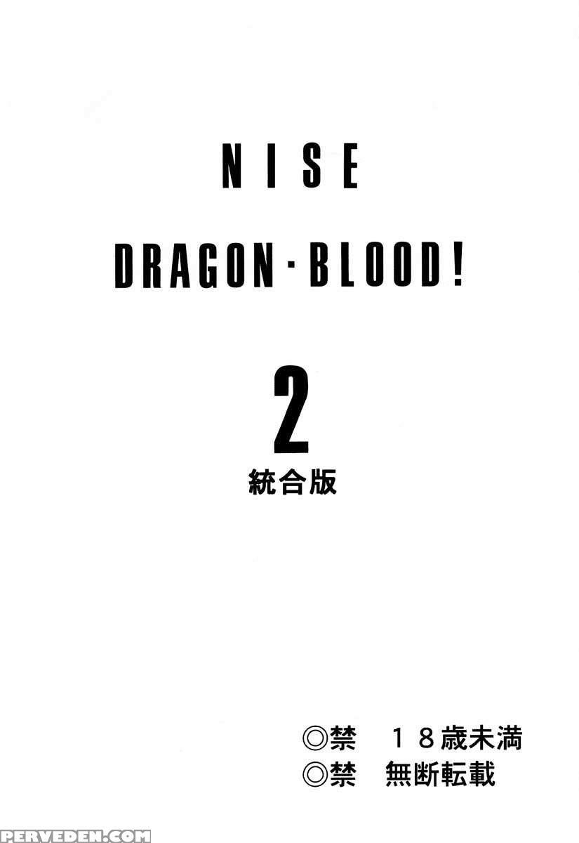 Nise Dragon Blood! 02 1