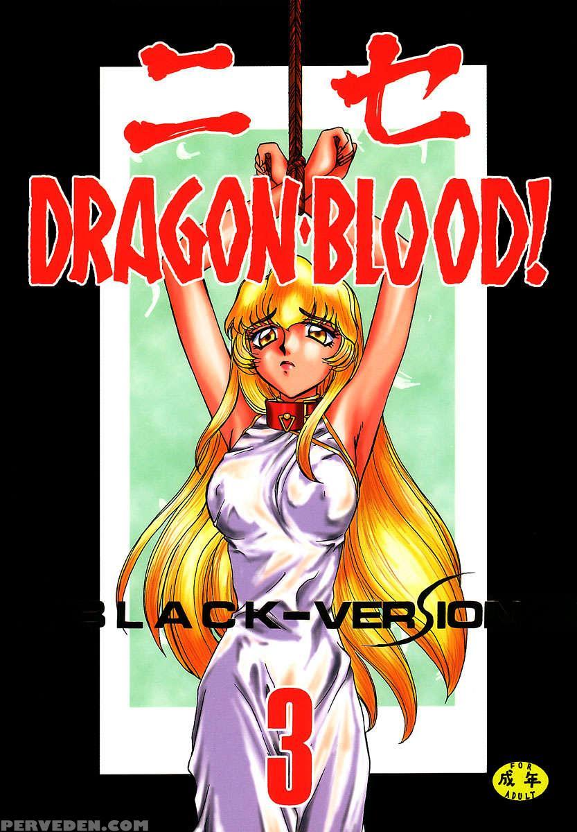 Nise Dragon Blood! 03 1