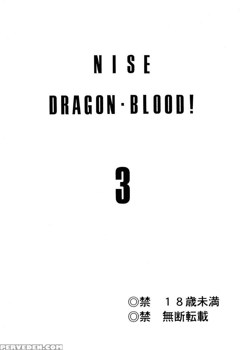 Nise Dragon Blood! 03 1