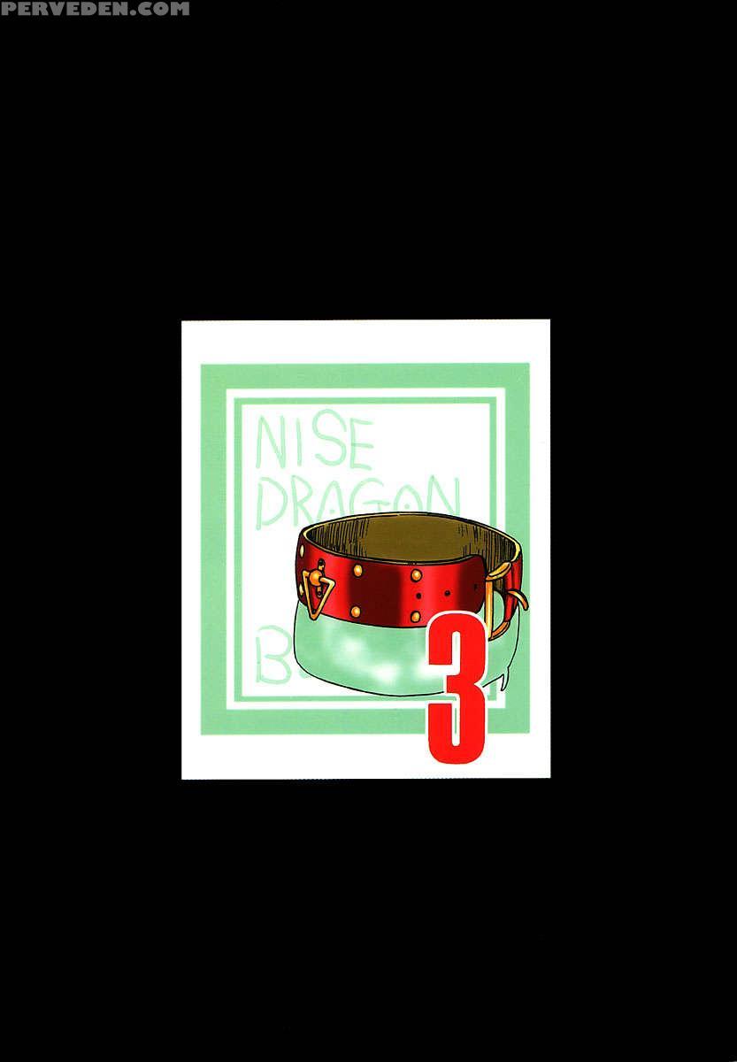 Nise Dragon Blood! 03 1