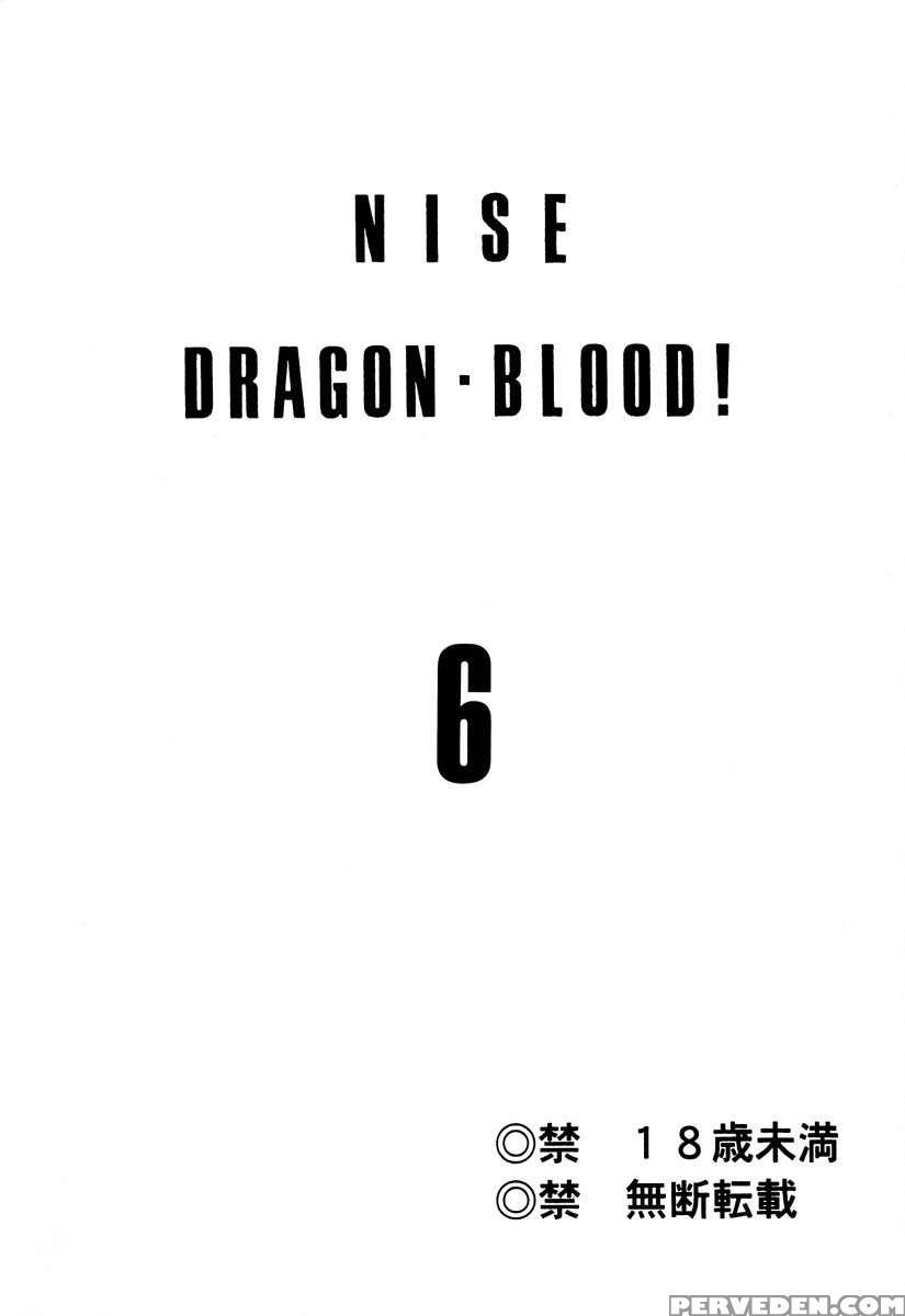 Nise Dragon Blood! 06 1