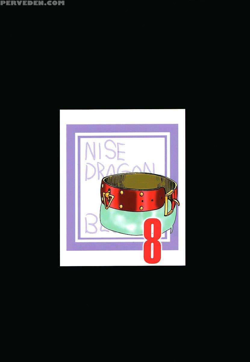 Nise Dragon Blood! 08 1