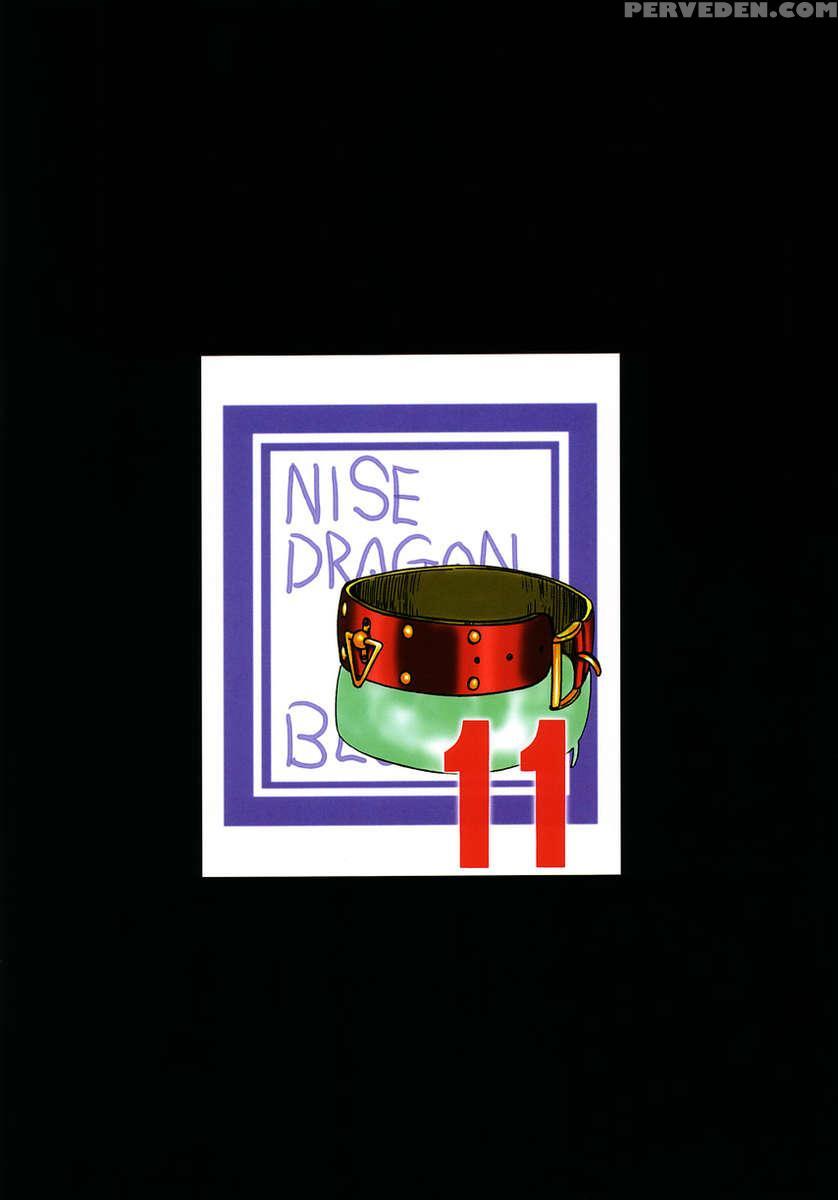 Nise Dragon Blood! 11 1