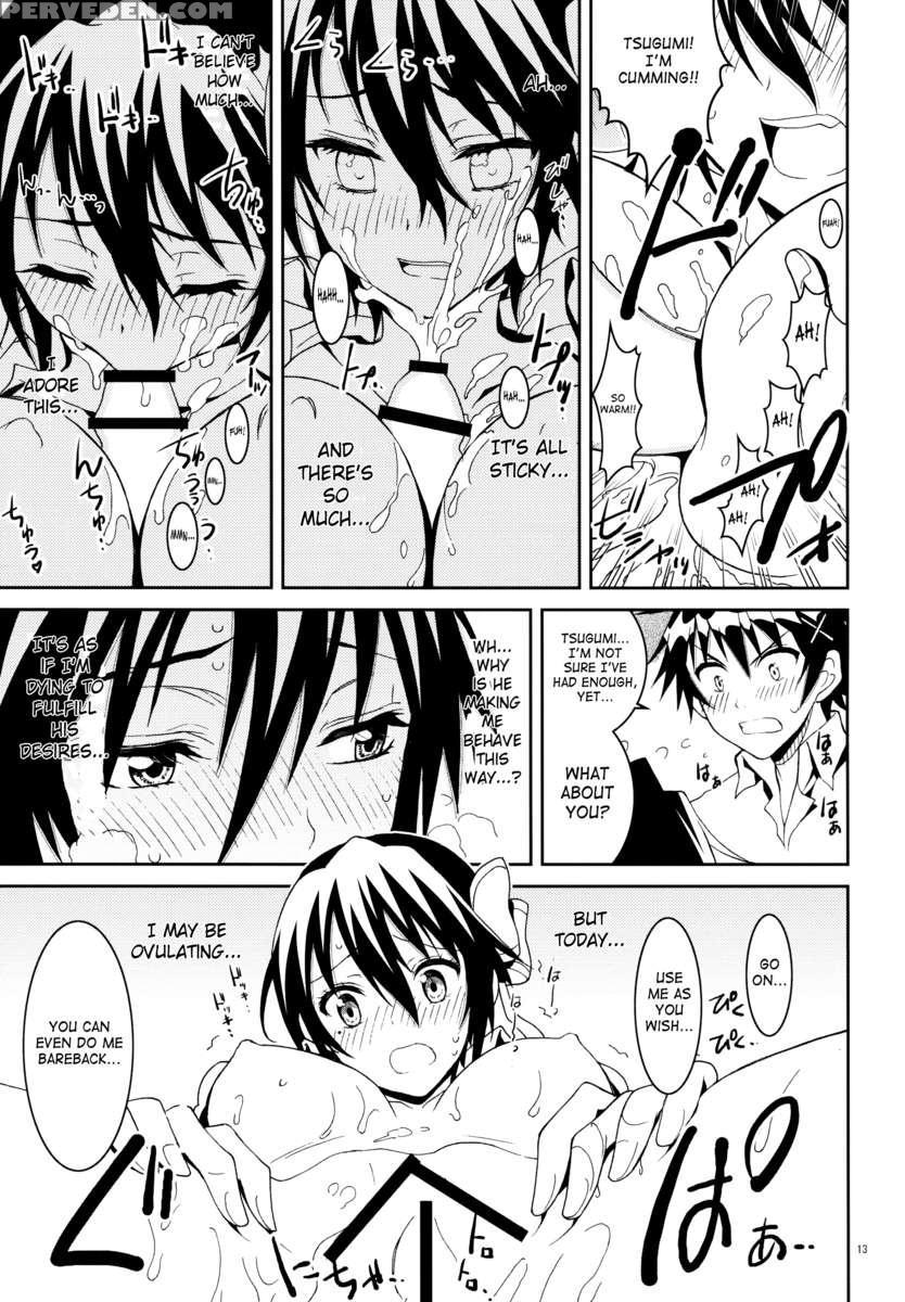 Nisenisekoi 3 1