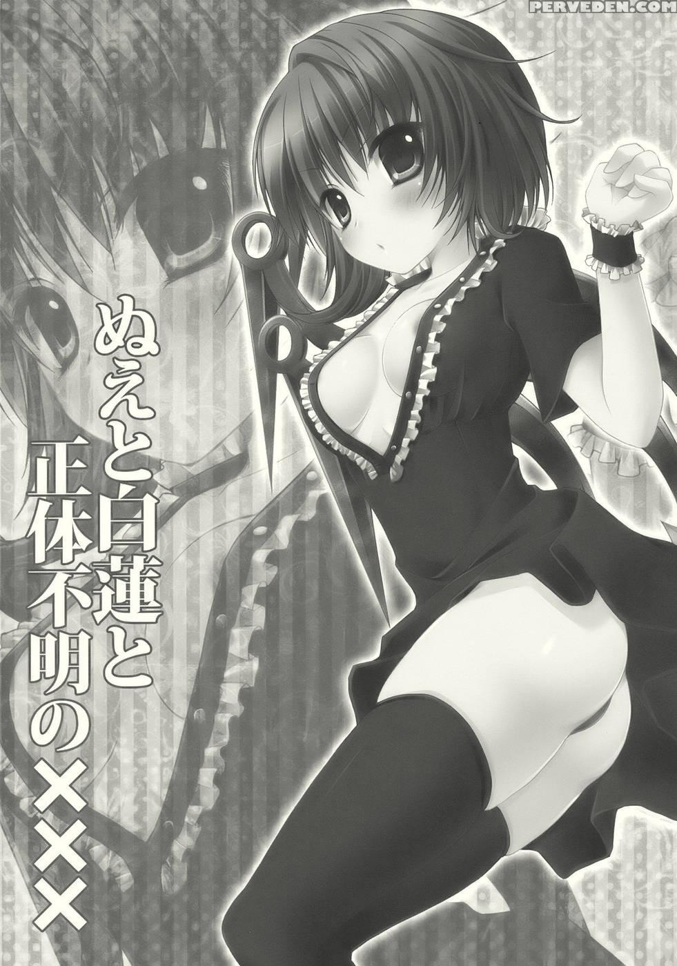 Nue, Byakuren, And The Undefined Xxx - Touhou Project 1