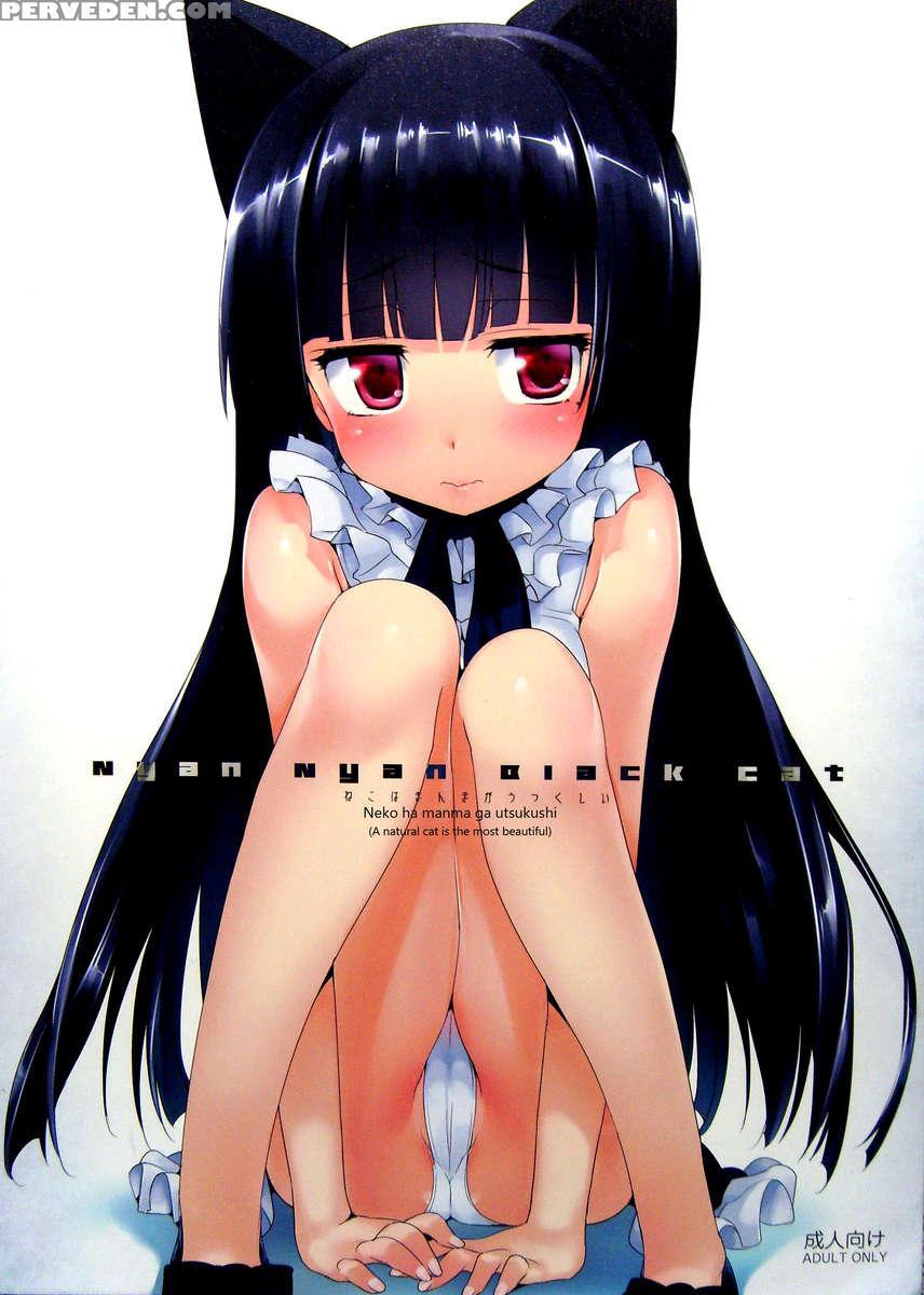 Nyan Nyan Black Cat 1