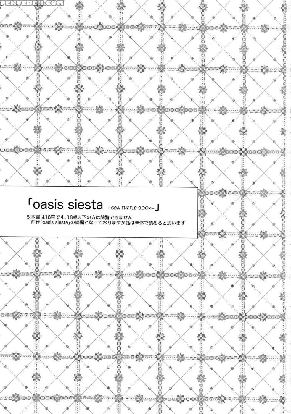 Oasis Siesta -sea Turtle Book- - Ocha 1