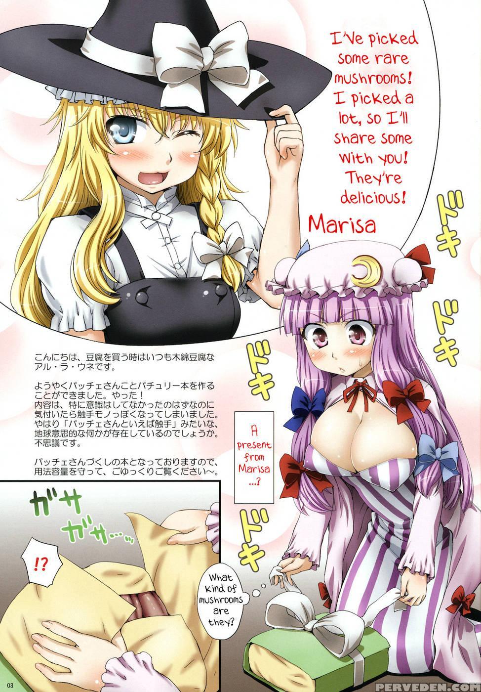 Oh! Patchouli And Marisa's Mushrooms - Touhou Project 1