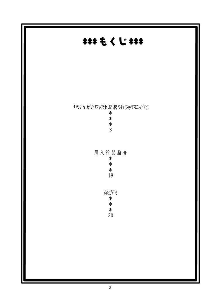 One Piece Dj - Nami's Hidden Sailing Diary 1