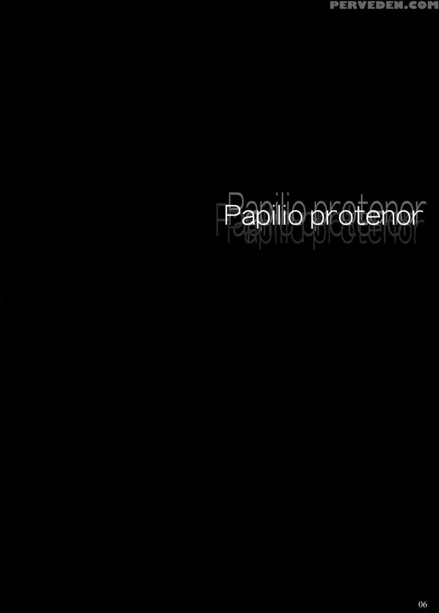 Papilio Protenor 1