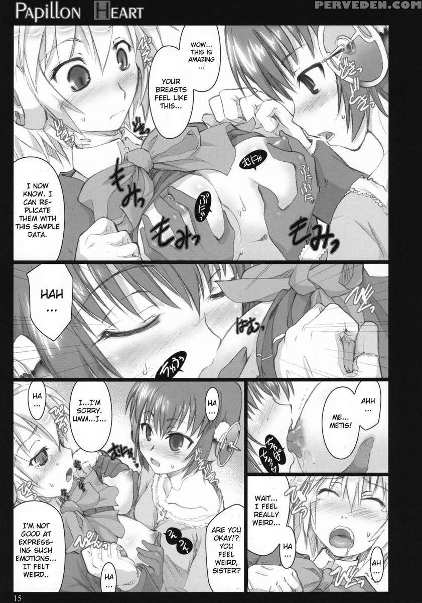 Papillon Heart 1