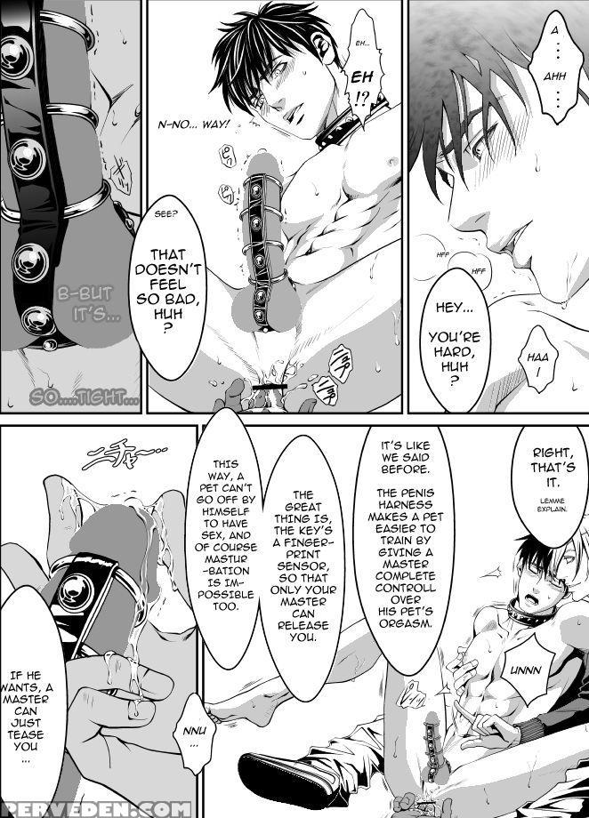Pet - Hakabazariawatari Kazuya 1