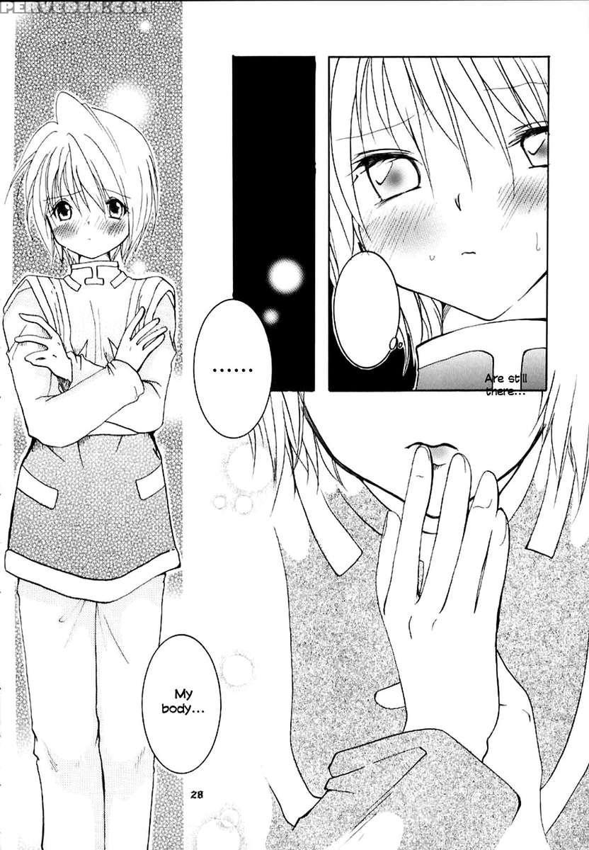 Pink Snow Memoria 1
