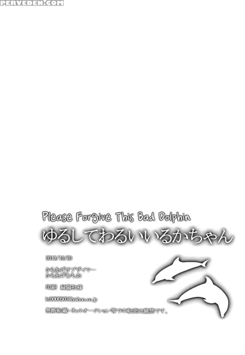 Please Forgive This Bad Dolphin 1