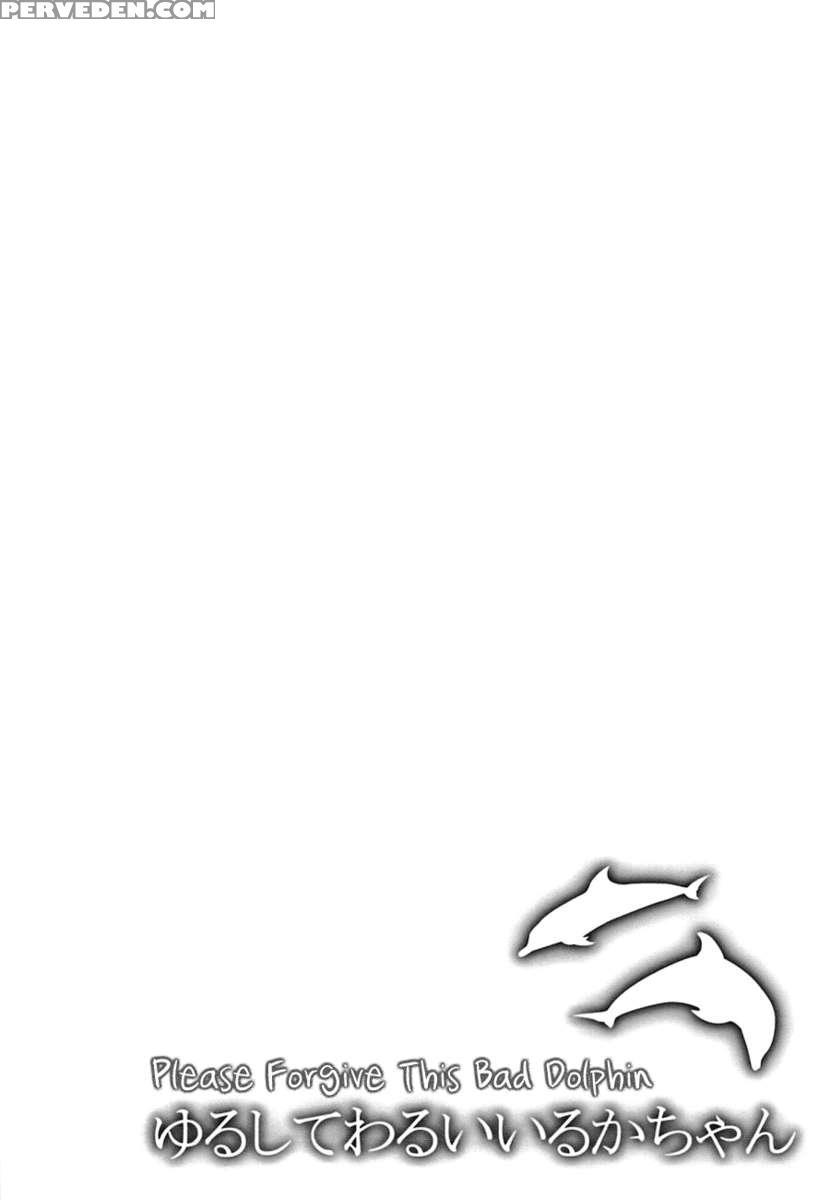 Please Forgive This Bad Dolphin 1