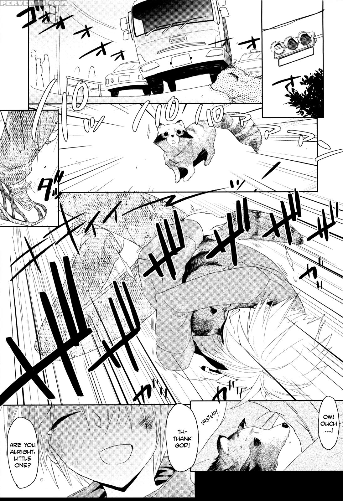 Pompoko - Original Work 1