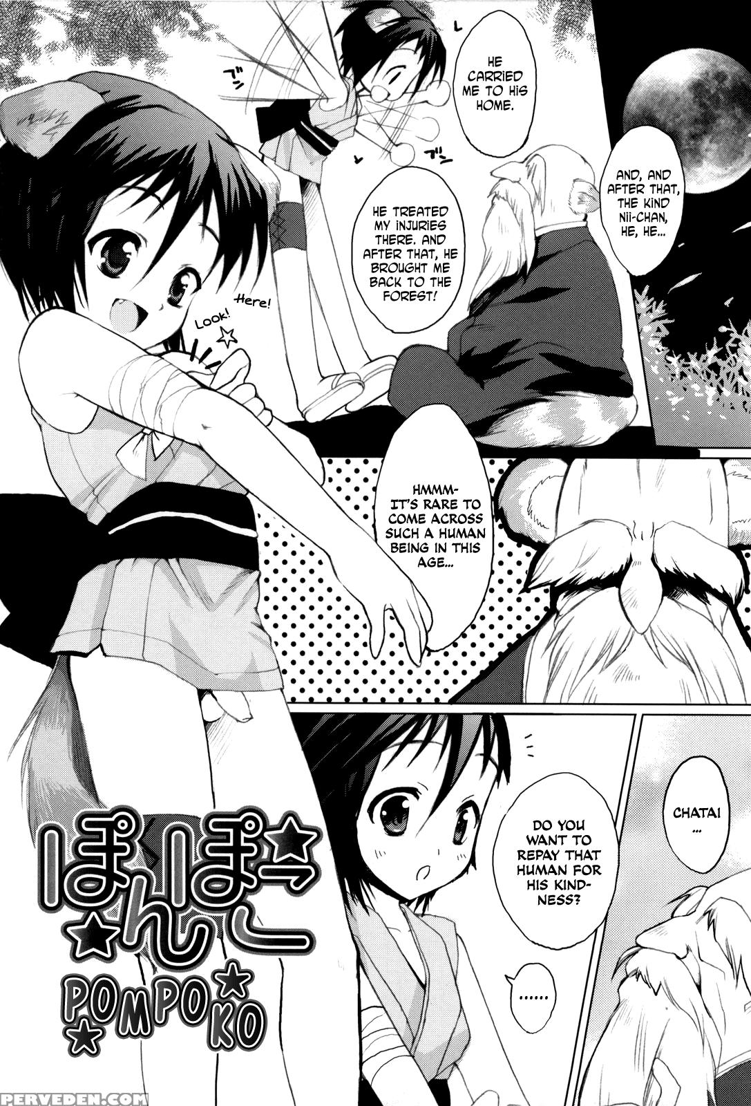 Pompoko - Original Work 1