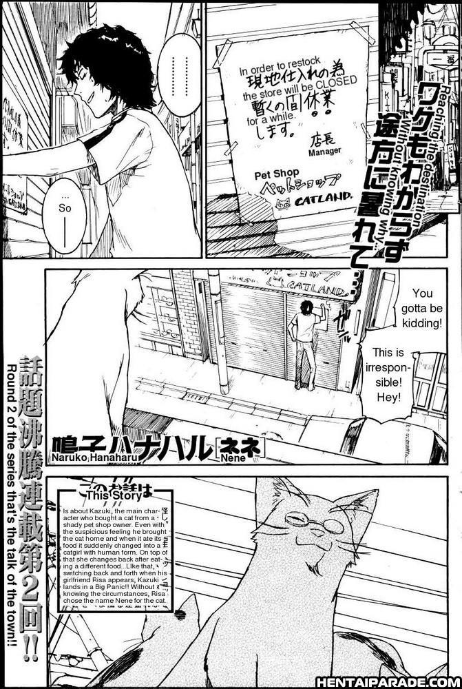 Pretty Cat! Nene 2