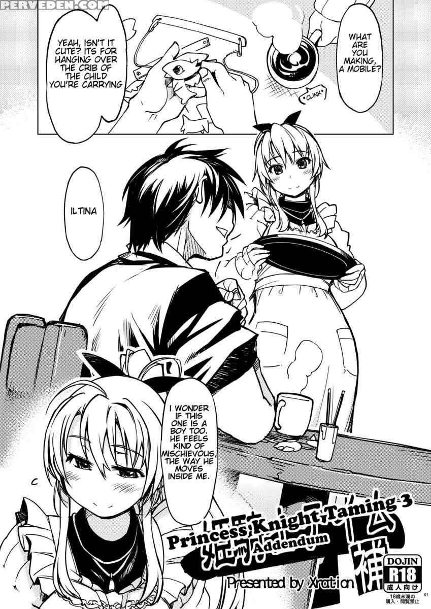 Princess Knight Taming 3 Addendum 1