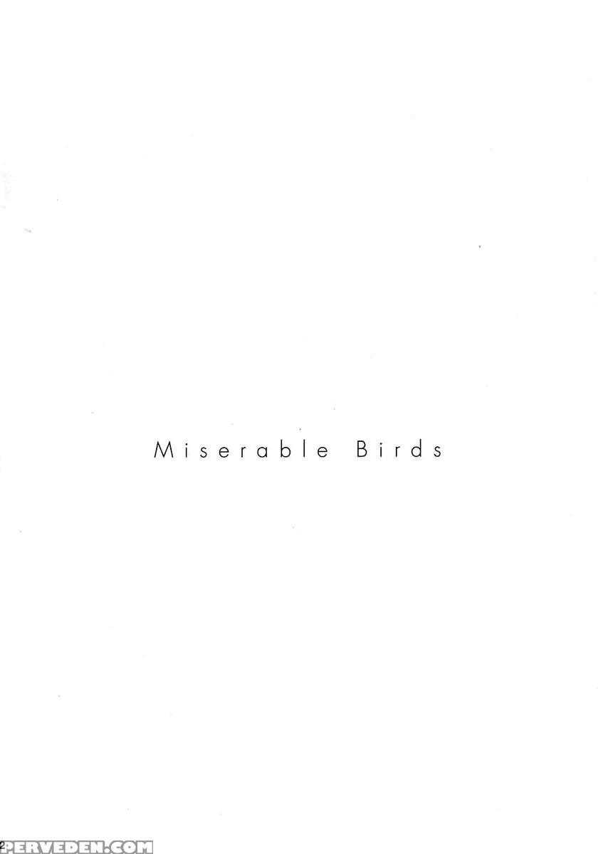 Prisoner 8 Miserable Birds 1