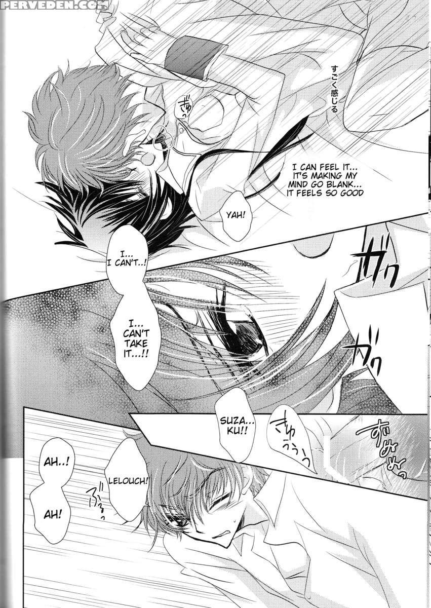 Rainbow Gossip 1