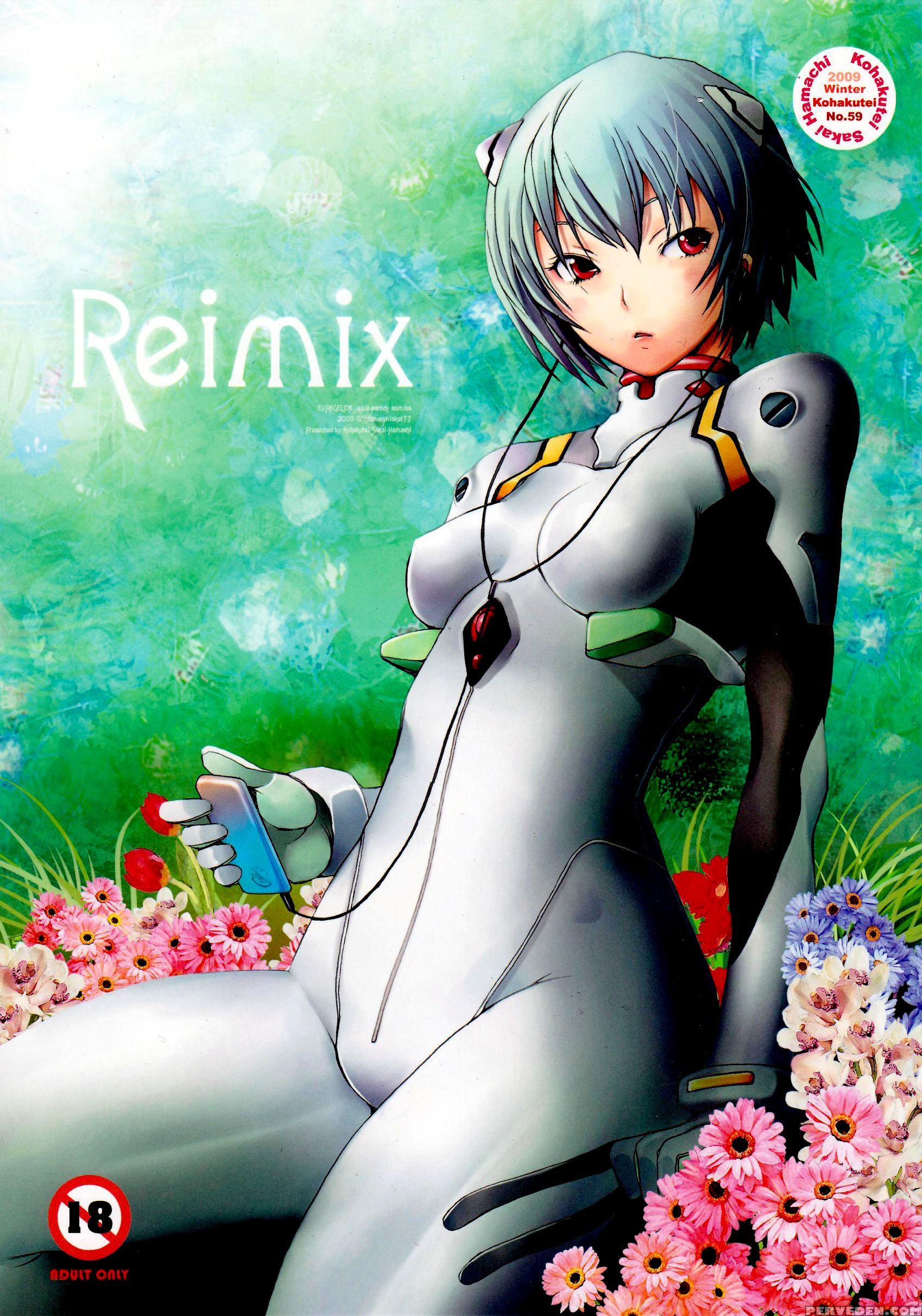 Reimix - Neon Genesis Evangelion 1