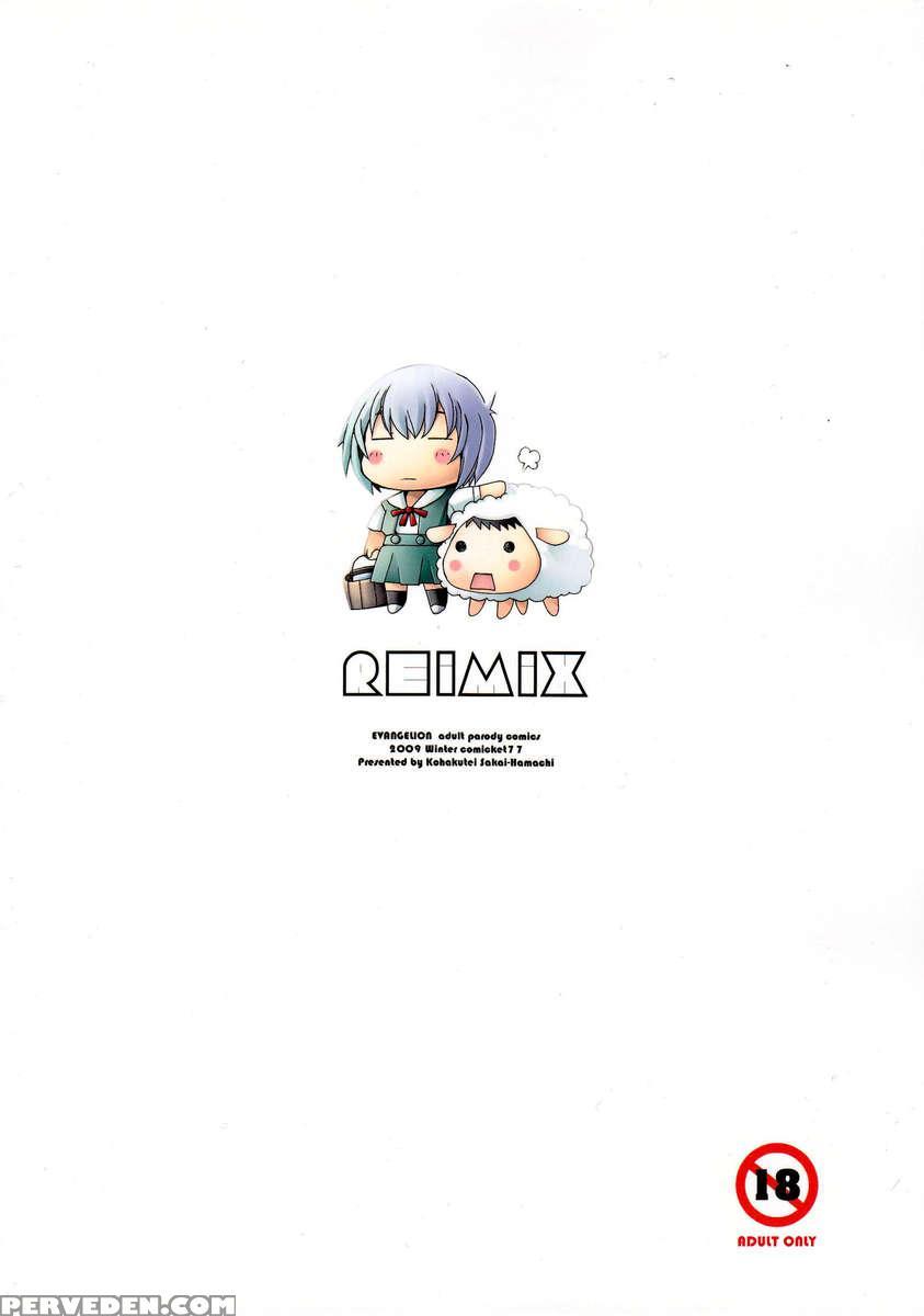 Reimix 1