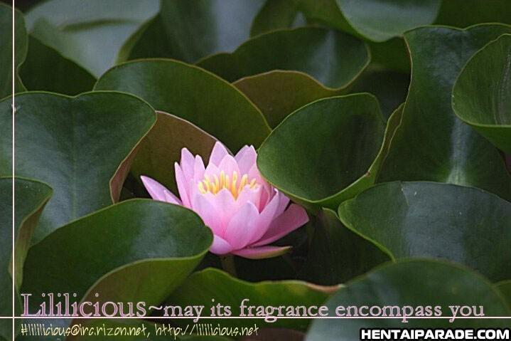Rose Stories Petite Soeur 2 - Finder 1