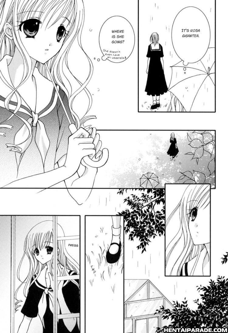 Rose Stories Petite Soeur 2 Dj - The Hanging Garden 1