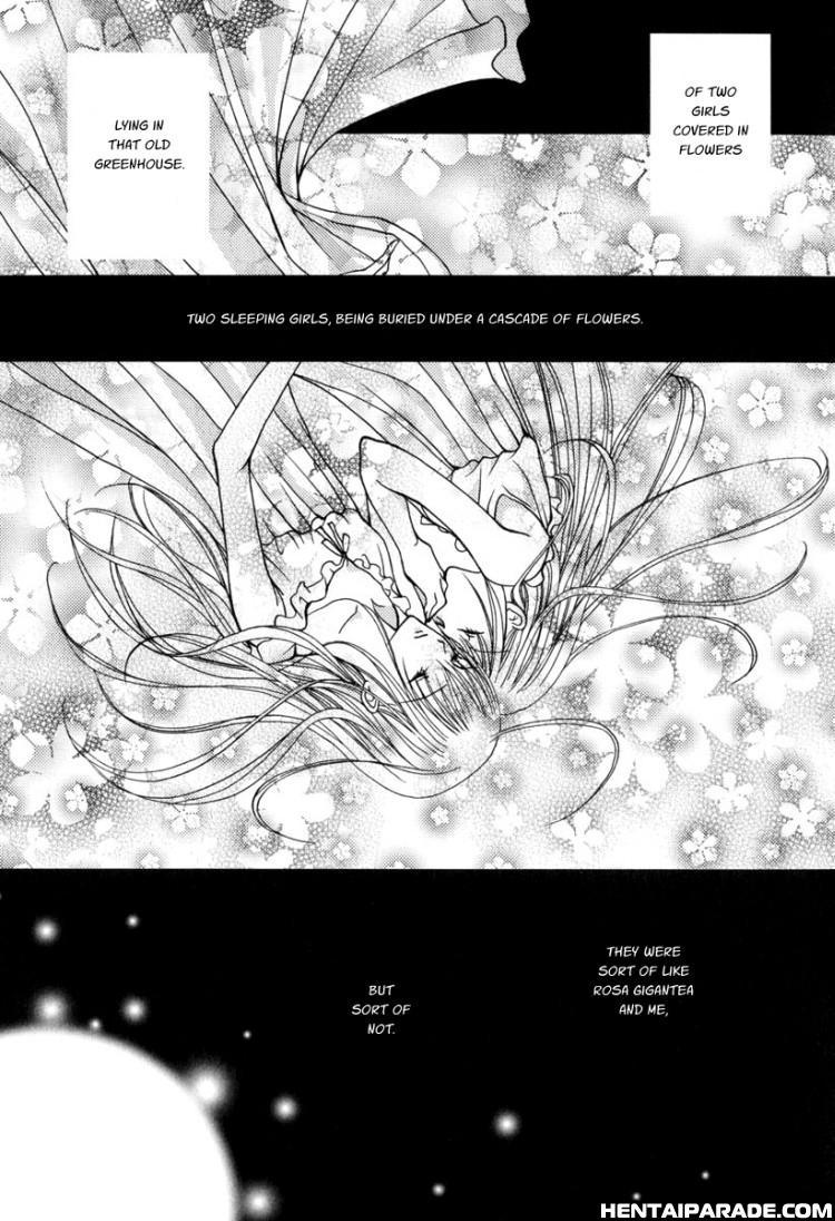 Rose Stories Petite Soeur 2 Dj - The Hanging Garden 1