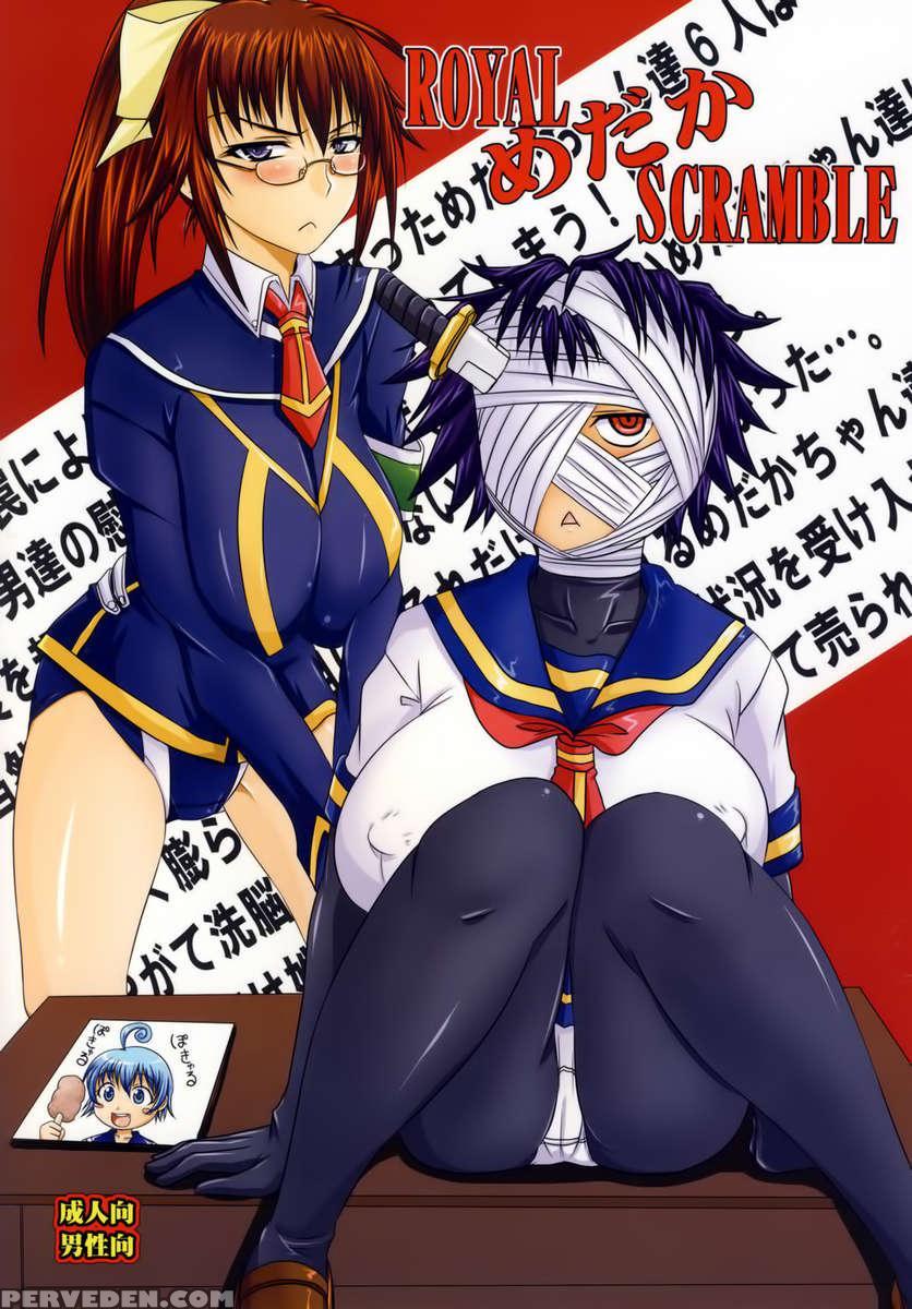 Royal Medaka Scramble 1