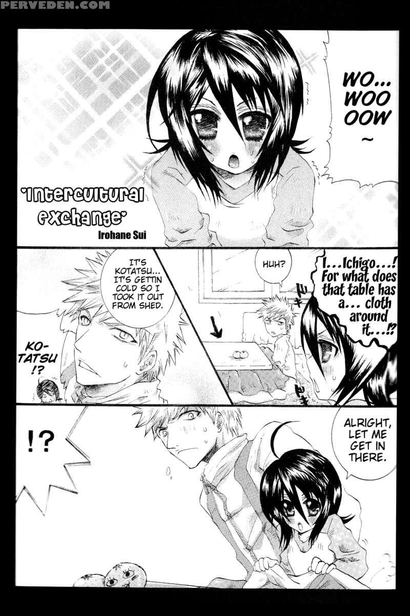Rukia Kuchiki Minimum Maniax File. 1